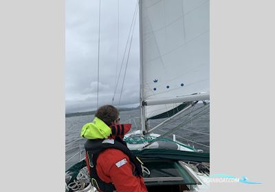 Beneteau Oceanis 351 Segelboot 1994, mit Vetus M3 motor, England