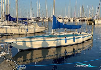Bianca 101 Aphrodite Segelboot 1987, mit Yanmar motor, Dänemark