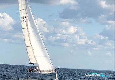 Bianca 107 Mk ll Segelboot 1987, mit Yanmar 3ym30 motor, Dänemark