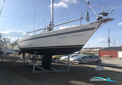 Bianca 107 Segelboot 1989, mit Yanmar motor, Dänemark