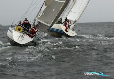 Bianca 107 Segelboot 1989, mit Yanmar motor, Dänemark