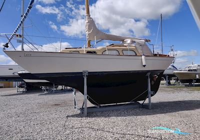 Bianca 27 Segelboot 1971, mit Bukh 20 HK motor, Dänemark