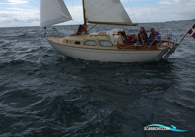 Bianca 27 Segelboot 1971, mit Bukh 20 HK motor, Dänemark