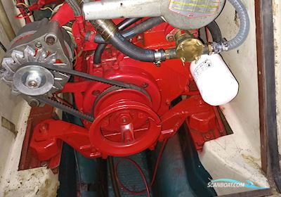 Bianca 27 Segelboot 1980, mit Bukh DV18 motor, Dänemark