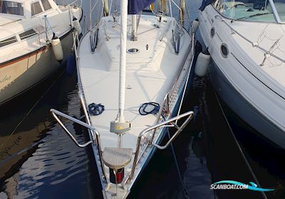 Bianca 28 Segelboot 1976, mit Yanmar motor, Dänemark