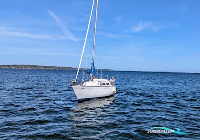 Bianca 28 Segelboot 1976, mit Yanmar 3ym20g motor, Dänemark