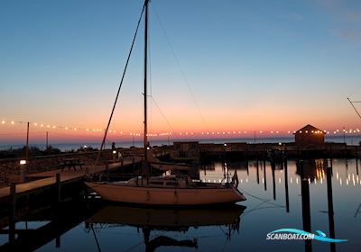 Bianca 28 Segelboot 1976, mit Yanmar 3ym20g motor, Dänemark