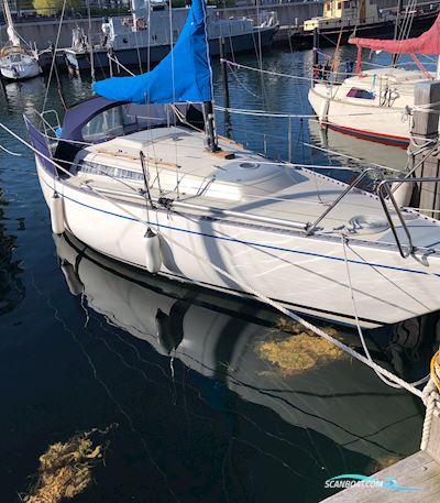 Bianca 28 Segelboot 1979, Dänemark