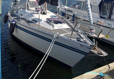 Bianca 320 Segelboot 1989, mit Yanmar motor, Dänemark