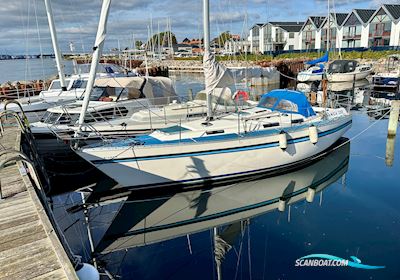 Bianca 320 Segelboot 1988, mit Yanmar 2GM20 motor, Dänemark
