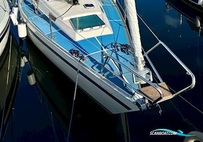 Bianca 320 Segelboot 1988, mit Yanmar 2GM20 motor, Dänemark