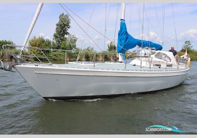 Breehorn 37 Segelboot 1988, Niederlande