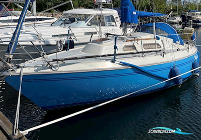 Bumerang Segelboot 1975, mit Nanni Diesel 3.90H motor, Dänemark