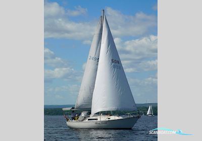 C&C 30E Segelboot 1984, mit Beta Marine motor, Niederlande