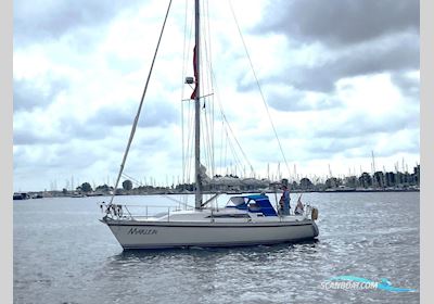 CS Yachts 36 Merlin Segelboot 1987, Niederlande