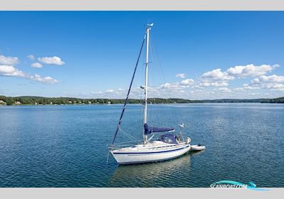 Cal 31 Segelboot 1979, Niederlande