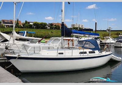 Cal 31 Segelboot 1979, Niederlande