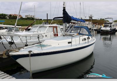 Cal 31 Segelboot 1979, Niederlande