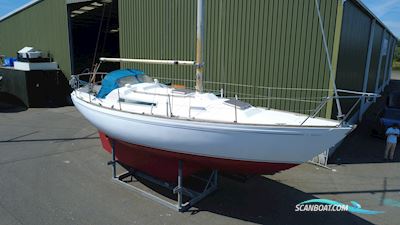 Camper & Nicholsons 31 Segelboot 1977, mit Yanmar D2QM20 motor, Belgien