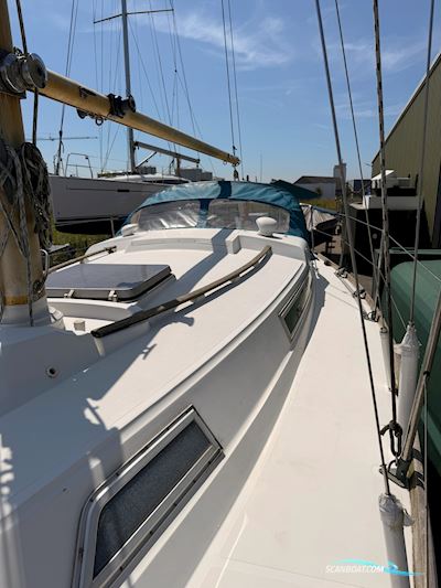 Camper & Nicholsons 31 Segelboot 1977, mit Yanmar D2QM20 motor, Belgien