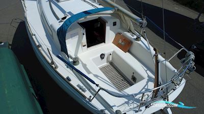 Camper & Nicholsons 31 Segelboot 1977, mit Yanmar D2QM20 motor, Belgien