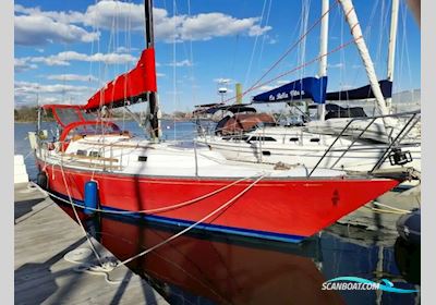Capital Newport 41s Segelboot 1979, mit Universal motor, Virgin Islands