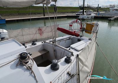 Carter 32 Segelboot 1975, mit Yanmar 3GM30 motor, Belgien