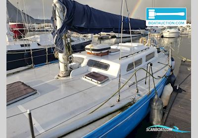 Carter 42 Segelboot 2024, mit Volvo Penta motor, Niederlande