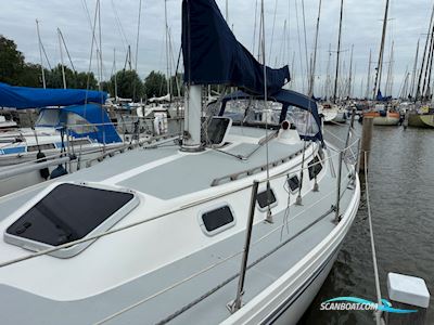 Catalina 34 Segelboot 1990, mit Universal motor, Niederlande