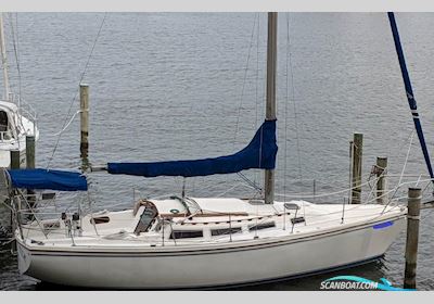 Catalina 36 Segelboot 1988, mit Yanmar 3GM30 motor, Dänemark