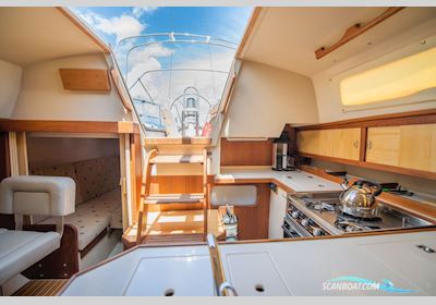 Catalina 36 Segelboot 1988, mit Yanmar 3GM30 motor, Dänemark