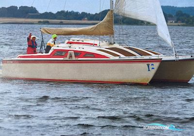 Catamaran Havkat 27 C Segelboot 1981, mit Suzuki motor, Dänemark