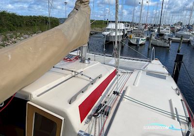 Catamaran Havkat 27 C Segelboot 1981, mit Suzuki motor, Dänemark