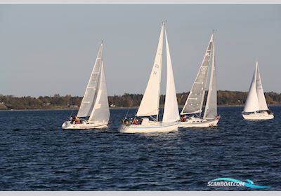 Cenit 33 Segelboot 1987, mit Yanmar 2GM motor, Dänemark