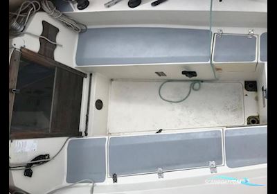 Cobra 750 Segelboot 1978, mit Nanni Diesel motor, Deutschland