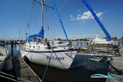 Colin Archer 12.95 Segelboot 1985, mit Sole motor, Niederlande
