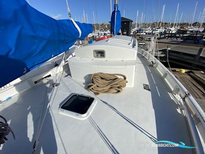 Colin Archer 40 Segelboot 1981, mit Ford
 motor, Dänemark