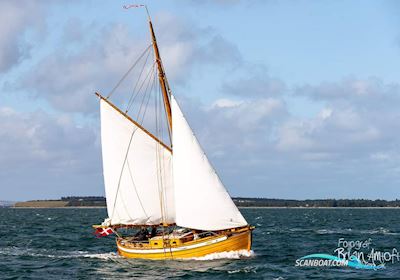 Colin Archer Segelboot 1983, mit BMC motor, Dänemark