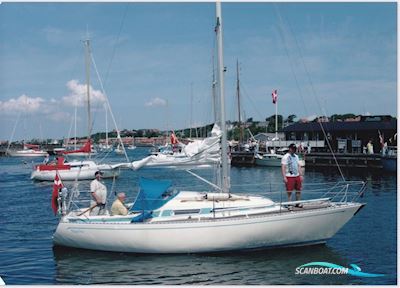 Colina L29, 1984 - Lemvig Segelboot 1984, mit Yanmar 2GM20F motor, Dänemark