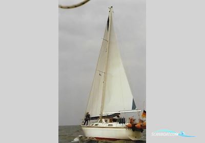 Colvic Craft Colvic Watson 33 Segelboot 1987, mit Volkswagen motor, Deutschland