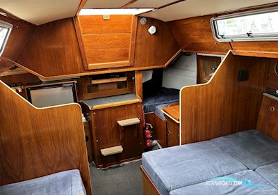 Colvic Craft Ufo34 Segelboot 1980, mit Volvo Penta md2030 motor, Dänemark