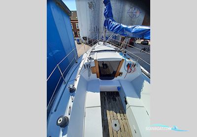 Comar Comet 910 Segelboot 1977, mit Farymann motor, Deutschland