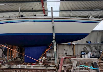 Comfortina 32 Segelboot 1988, mit Volvo Penta  MD2020D motor, Dänemark