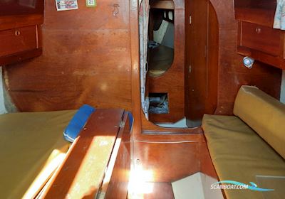 Commander 31 Segelboot 1974, mit Bukh  motor, Dänemark