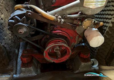 Commander 31 Segelboot 1974, mit Bukh motor, Dänemark