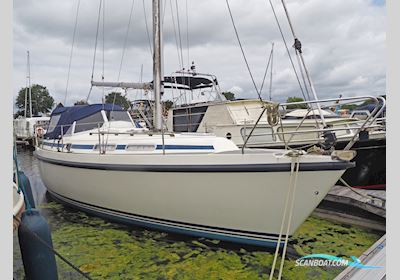 Compromis 888 Segelboot 1998, mit Yanmar 2GM20 motor, Niederlande