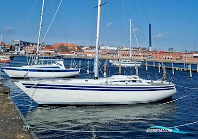 Concorde 38 Segelboot 1981, mit Yanmar motor, Dänemark
