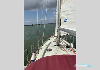 Contessa 26 Segelboot 1971, mit Nani motor, England