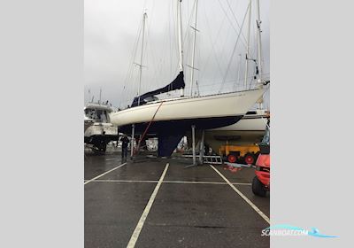 Contessa 35 Segelboot 1978, mit Yanmar 3GM30F motor, Dänemark