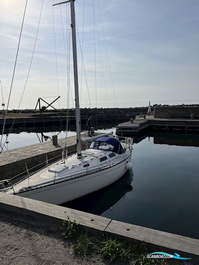 Contessa 35 Segelboot 1978, mit Yanmar 3GM30F motor, Dänemark